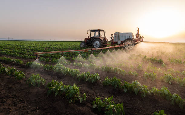 Best Pest Removal Services  in Pecatonica, IL