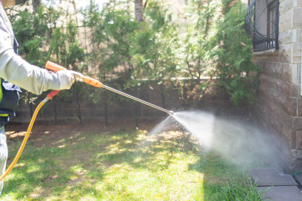 Best Insect Control  in Pecatonica, IL