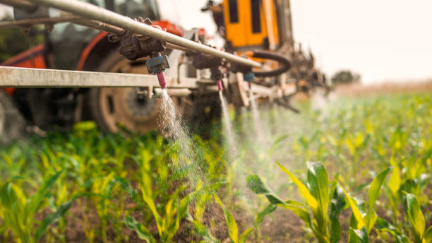 Best Pest Inspection Near Me  in Pecatonica, IL